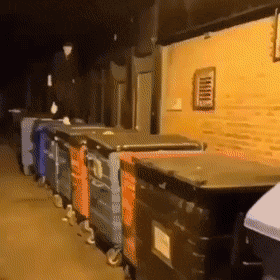 Acid Gifdump, January 9 (25 gifs)