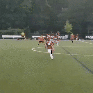 Acid Gifdump, January 10 (25 gifs)