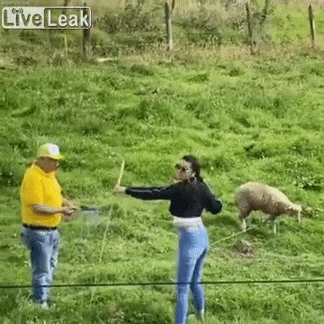 Acid Gifdump, January 10 (25 gifs)