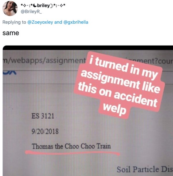 Students Who Should Have Read Their Works Before Submitting (26 pics)