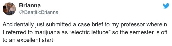 Students Who Should Have Read Their Works Before Submitting (26 pics)