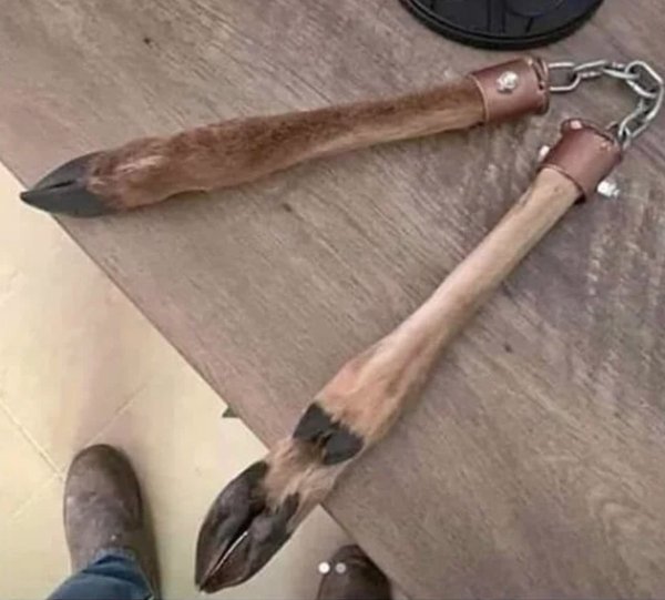 Thrift Shop Treasures (47 pics)