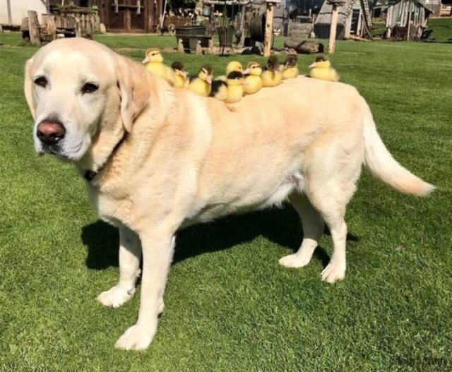 No Words Needed For These Pictures! (52 pics)