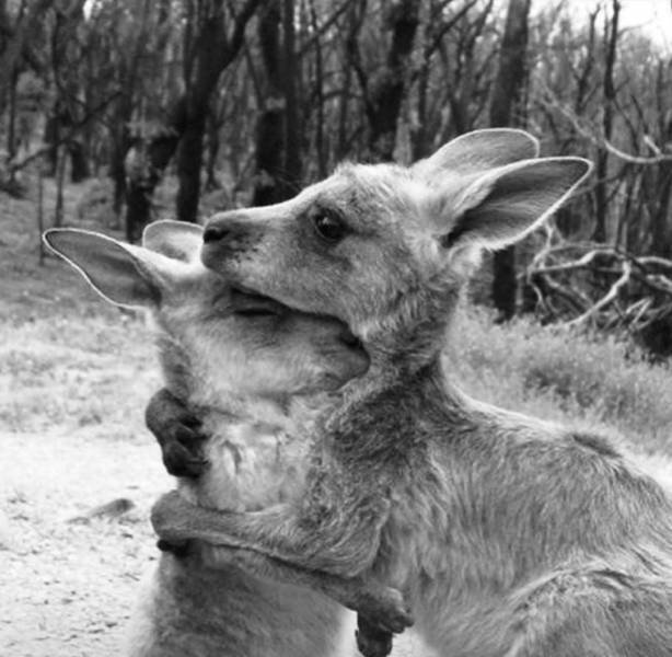 No Words Needed For These Pictures! (52 pics)