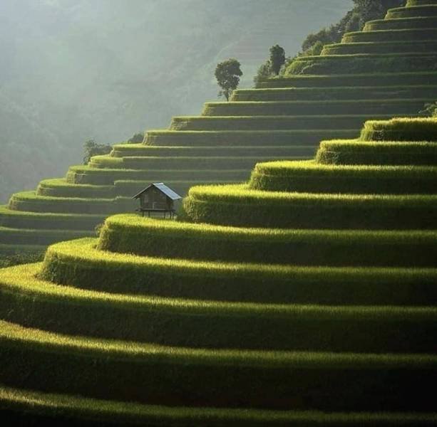 No Words Needed For These Pictures! (52 pics)
