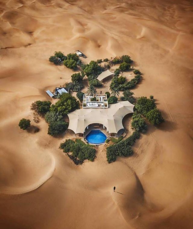 No Words Needed For These Pictures! (52 pics)