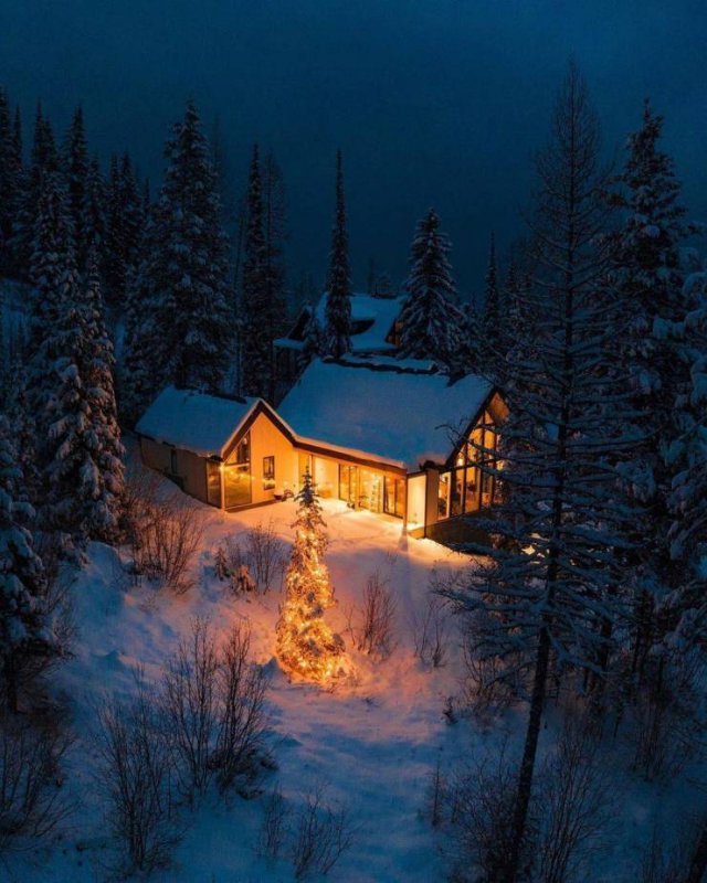No Words Needed For These Pictures! (52 pics)