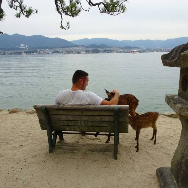 No Words Needed For These Pictures! (52 pics)