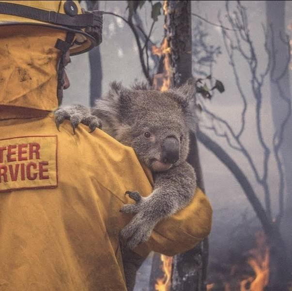 No Words Needed For These Pictures! (52 pics)