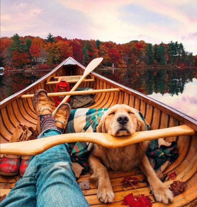No Words Needed For These Pictures! (52 pics)