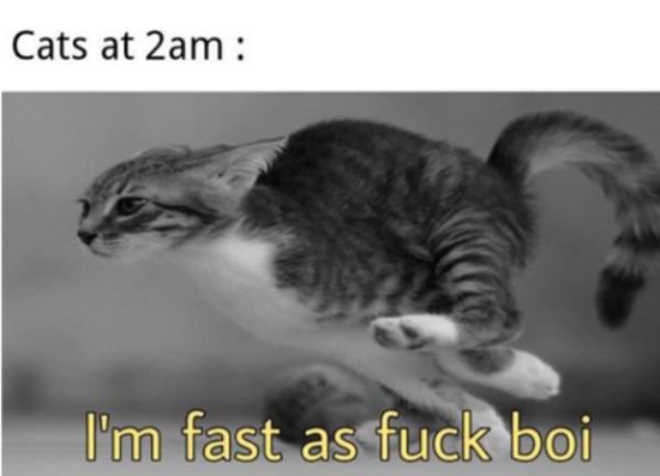 Random Funny Memes (50 pics)