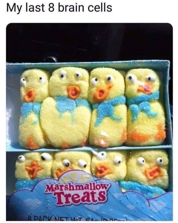 Random Funny Memes (50 pics)