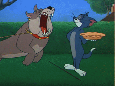 Tom And Jerry Celebrate 80 Years (19 gifs)