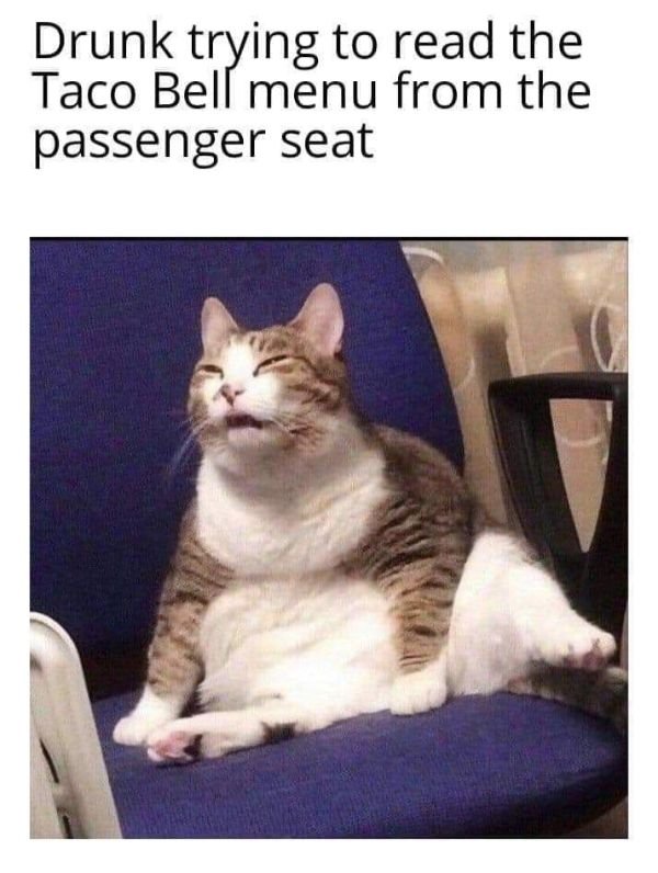 Random Funny Memes (50 pics)