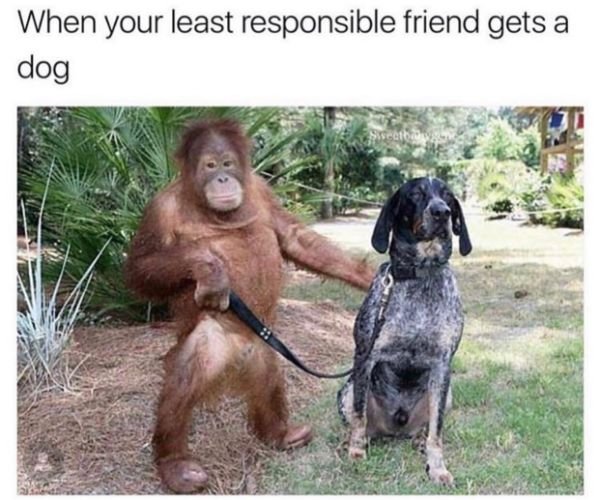 Random Funny Memes (50 pics)