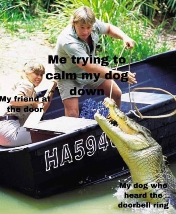 Random Funny Memes (50 pics)
