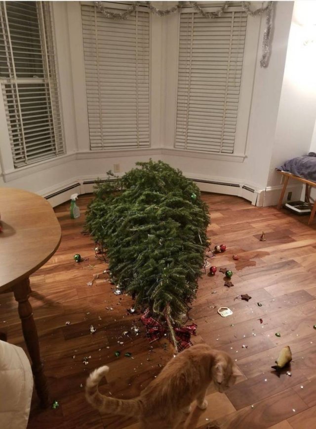 Bad Days Happen (54 pics)