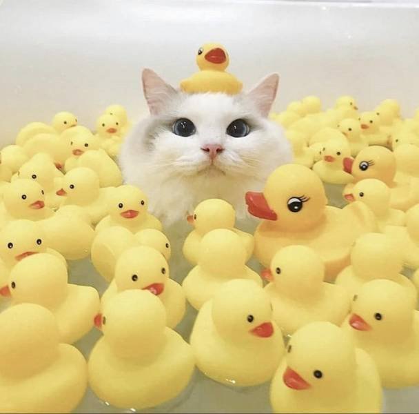 Acid Picdump. Part 1 (95 pics)