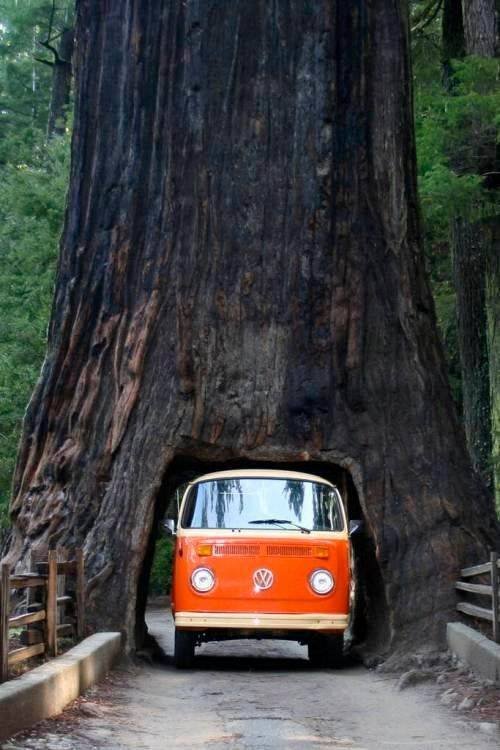 Acid Picdump. Part 1 (95 pics)