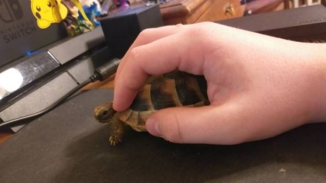 Acid Picdump. Part 1 (95 pics)