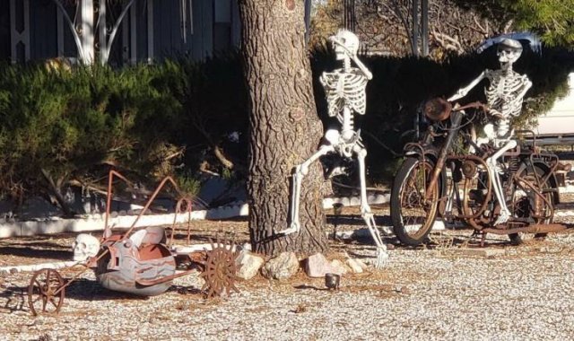 Acid Picdump. Part 1 (95 pics)