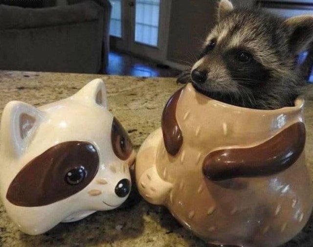 Acid Picdump. Part 2 (95 pics)