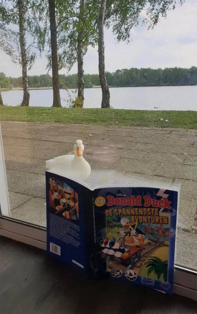 Acid Picdump. Part 1 (95 pics)
