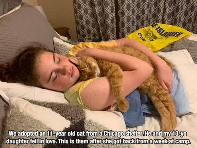 Acid Picdump. Part 1 (95 pics)