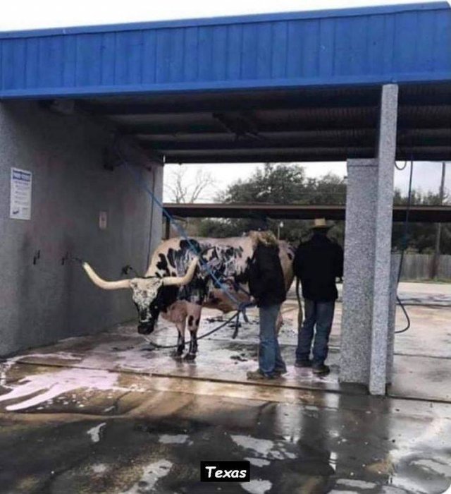 Acid Picdump. Part 2 (95 pics)