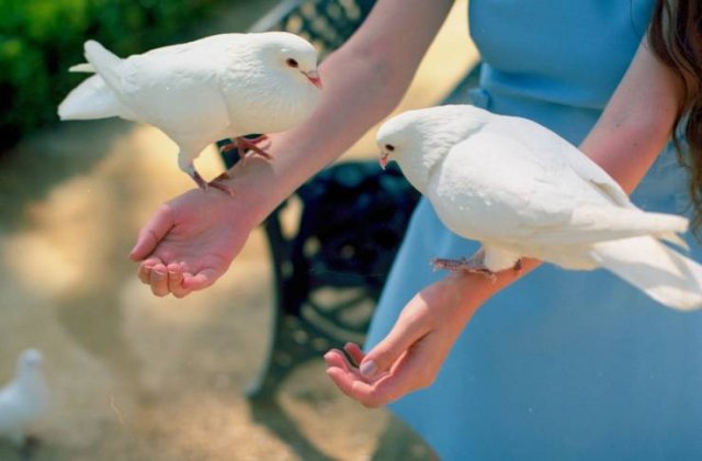 Acid Picdump. Part 1 (95 pics)