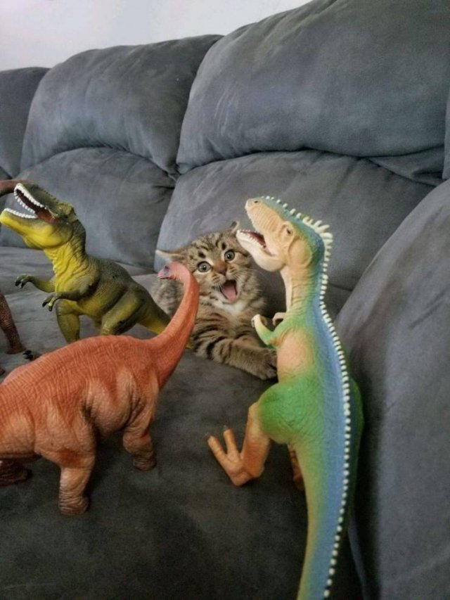 Acid Picdump. Part 1 (95 pics)
