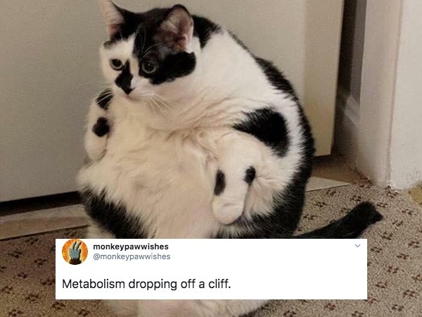 Only 30-Year-Olds Will Understand (26 pics)