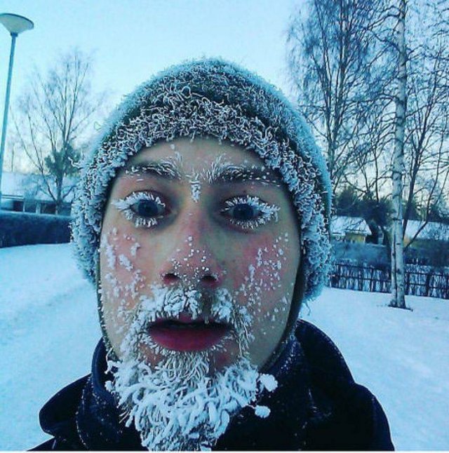 Real Winter Is Coming (21 pics)