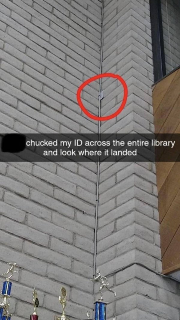 Random Fails And Strange Things (38 pics)