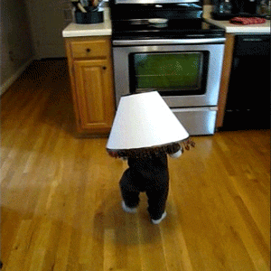 Fail GIFs (17 gifs)