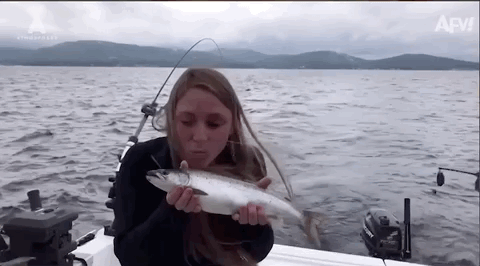 Fail GIFs (17 gifs)