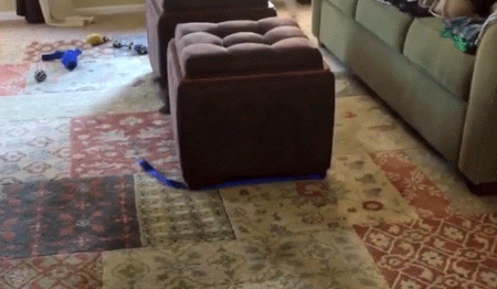 Fail GIFs (17 gifs)