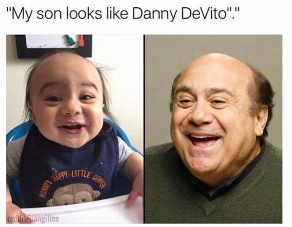 Danny DeVito Memes (35 pics)