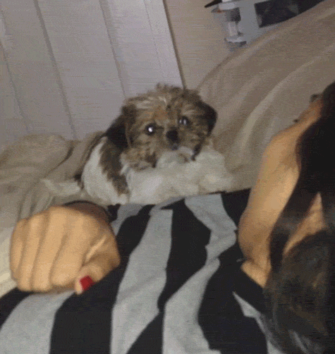 Fail GIFs (17 gifs)