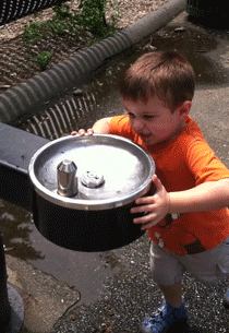 Fail GIFs (17 gifs)