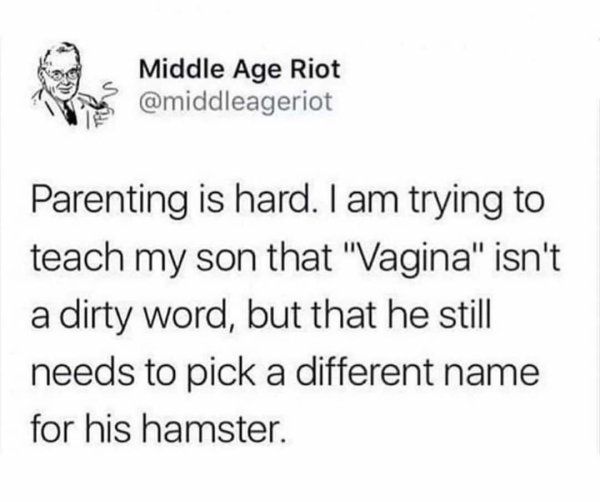 Random Funny Pictures (37 pics)