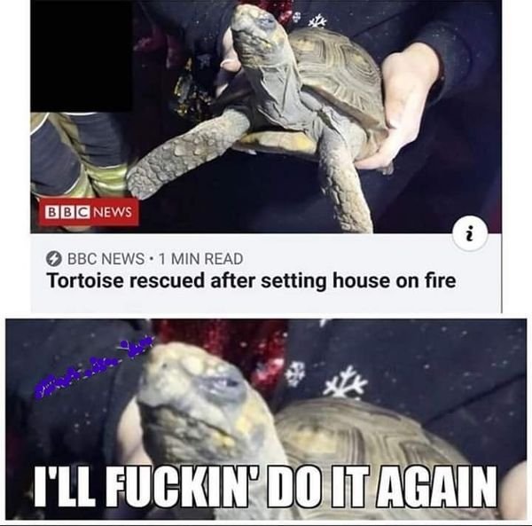 Random Funny Pictures (37 pics)