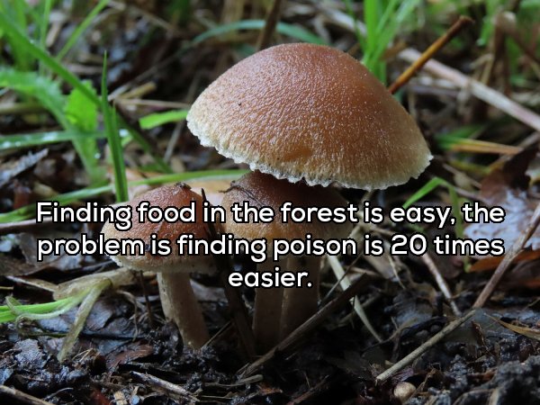 Shower Thoughts (20 pics)
