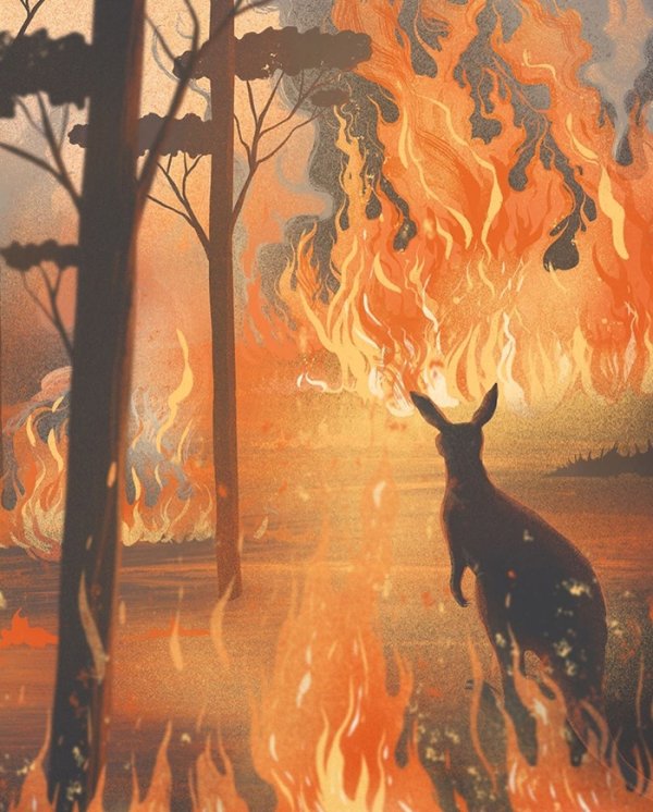 Australian Bushfires: Artists Share Support By Their Works (26 pics)