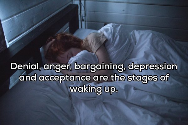 Shower Thoughts (20 pics)