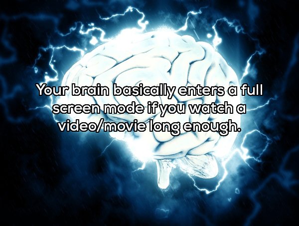 Shower Thoughts (20 pics)