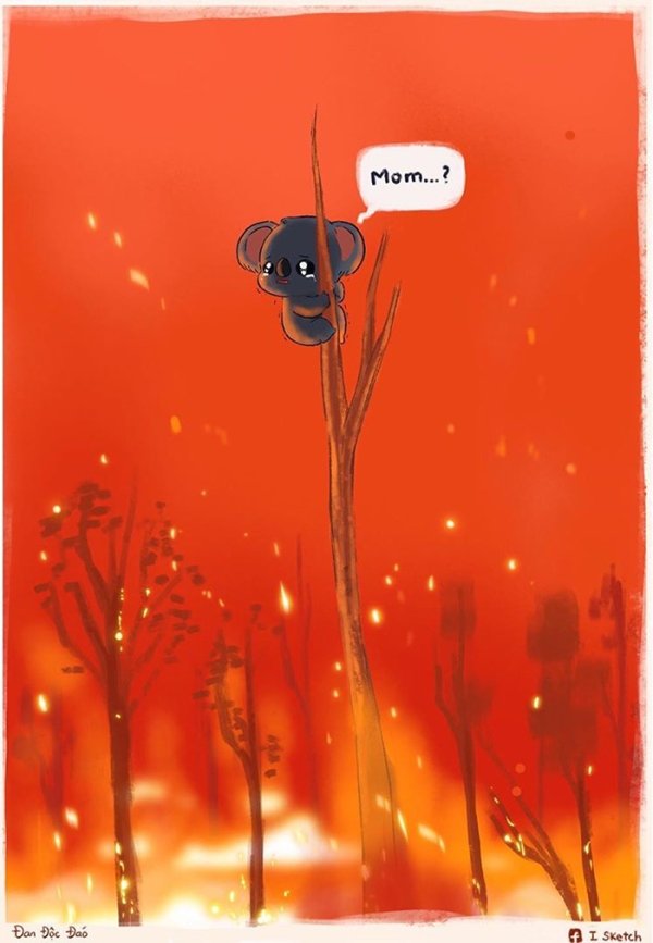 Australian Bushfires: Artists Share Support By Their Works (26 pics)