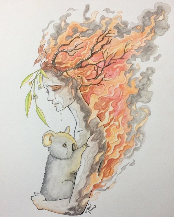 Australian Bushfires: Artists Share Support By Their Works (26 pics)