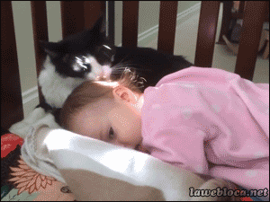 Acid Gifdump, January 16 (25 gifs)