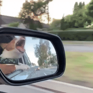 Acid Gifdump, January 16 (25 gifs)